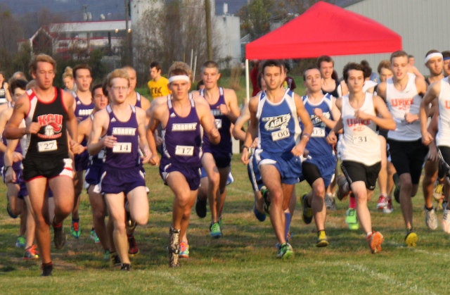 Cross Country Participates in KIAC Conference Tournament