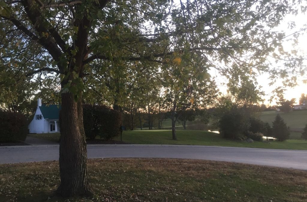 Men’s Golf Plays in Second Annual Work College Challenge