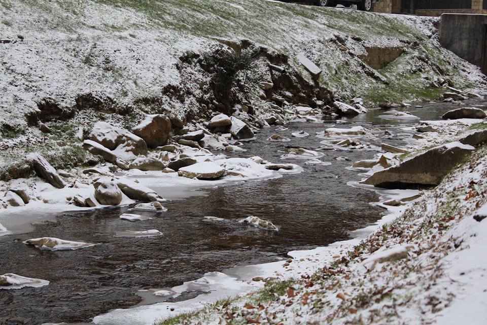 January 8th Edition of The Campus Voice Newsletter