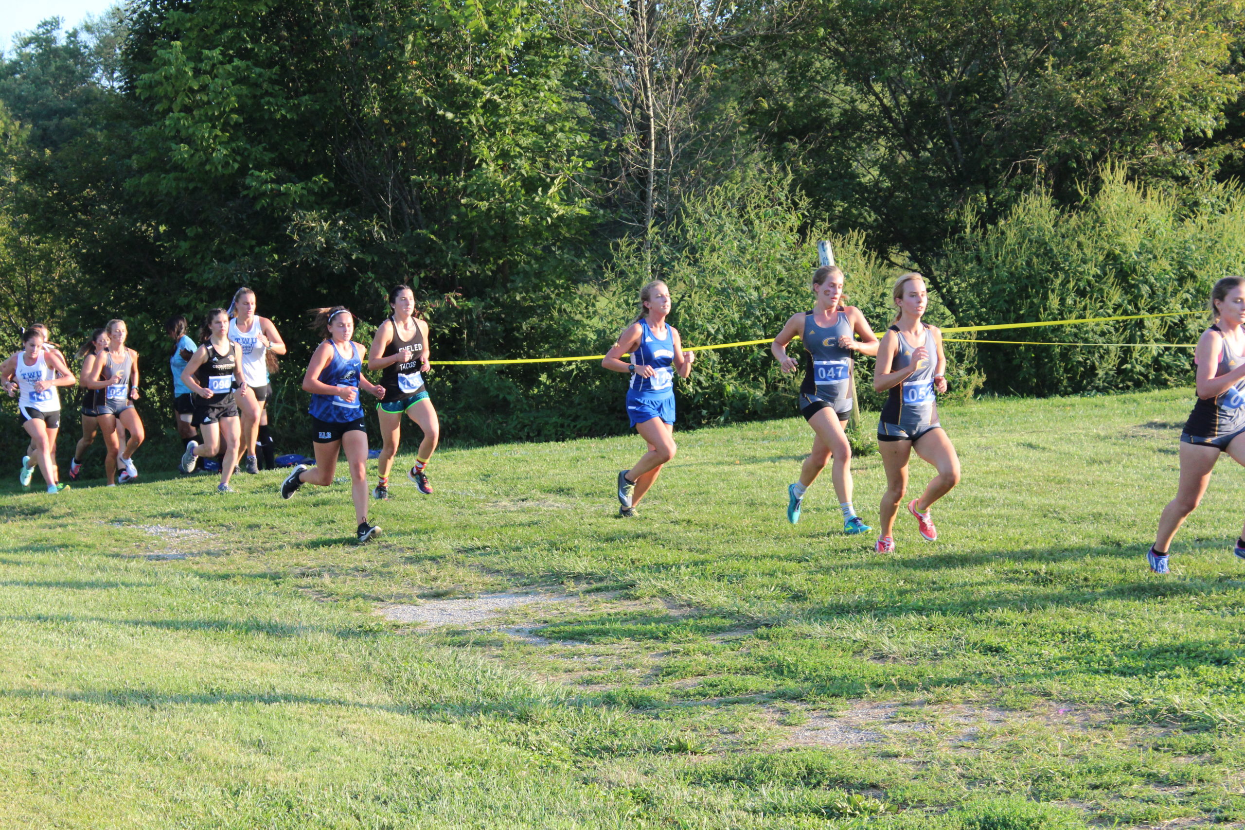 Alice Lloyd Lady Eagles And Eagles Cross Country Finish Second At NCCAA DII Nationals Alice 