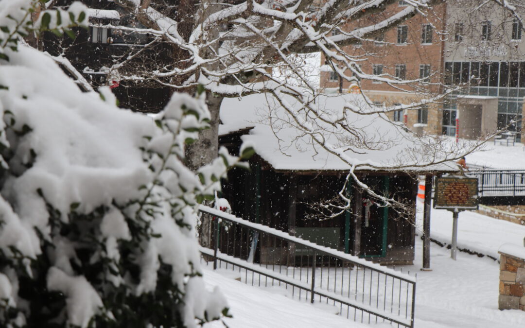 The January 15th Edition of The Campus Voice