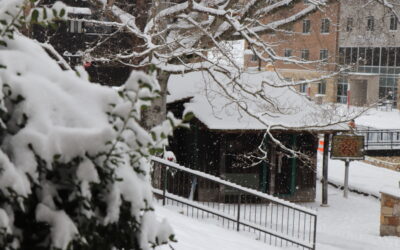 The January 15th Edition of The Campus Voice